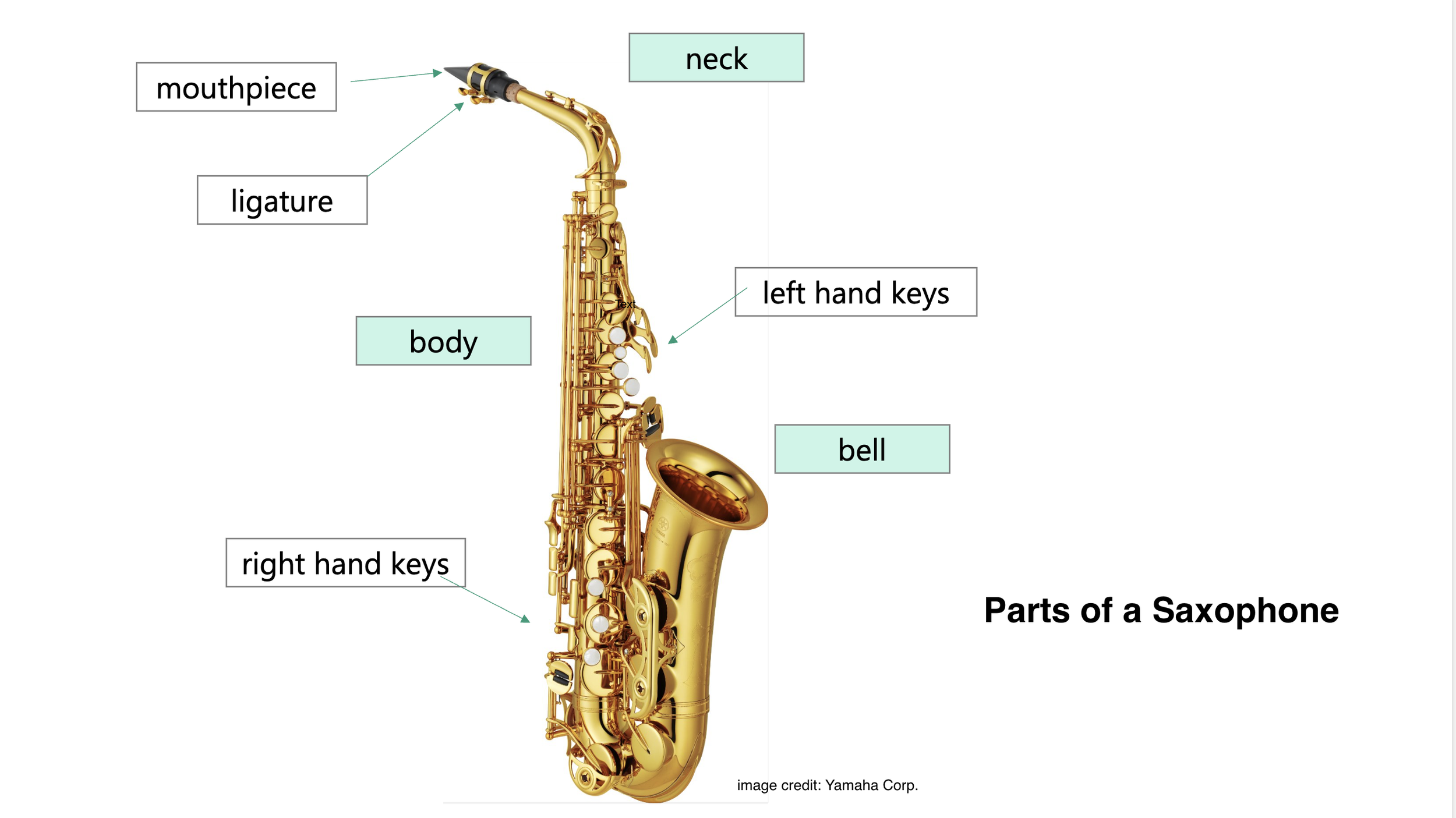 Saxophone detail